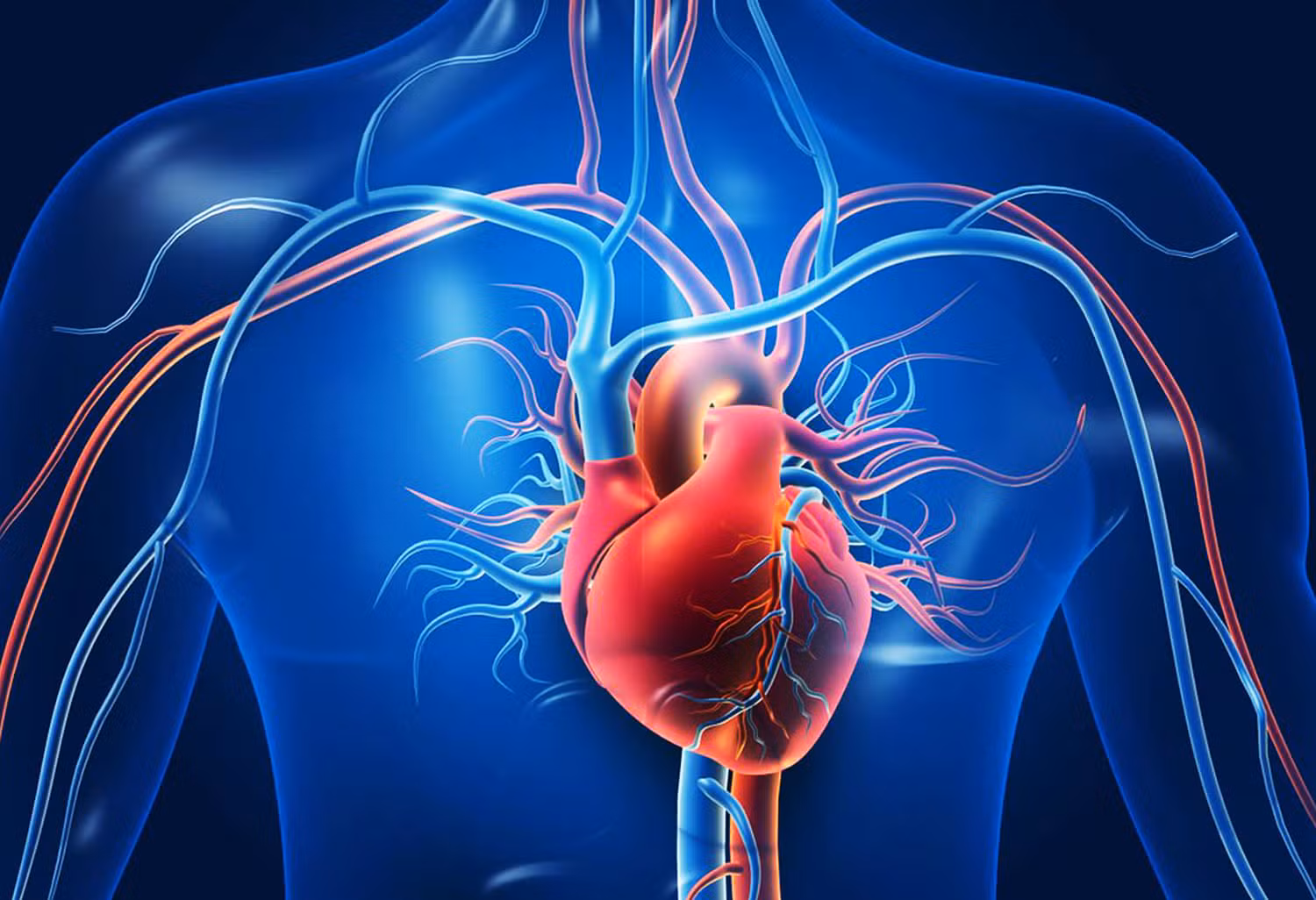 Batam Wet Cupping for Heart Disease, Medical Benefits and Effectiveness